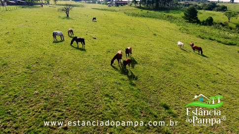 INICIO INICIO.00_03_59_05.Quadro045_19d461fa98e5394b71dbc4389238f4dd831e0e65.jpg